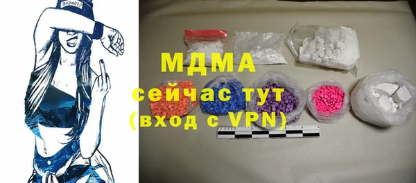 индика Алексин
