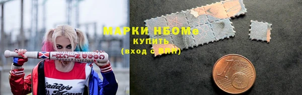 индика Алексин