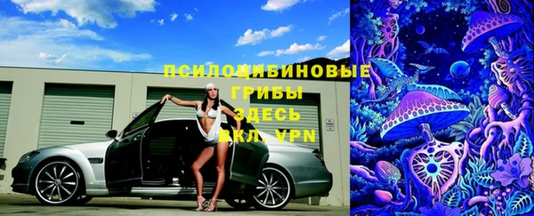 скорость Алзамай