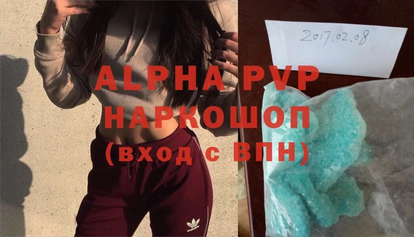 индика Алексин