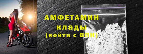 индика Алексин