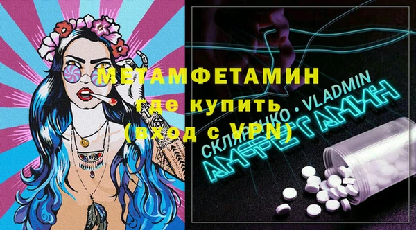 индика Алексин