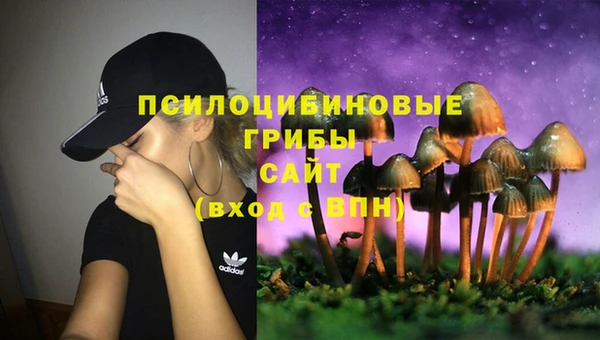прущие крисы Алексеевка