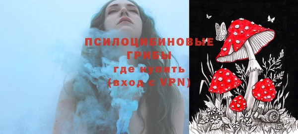 индика Алексин