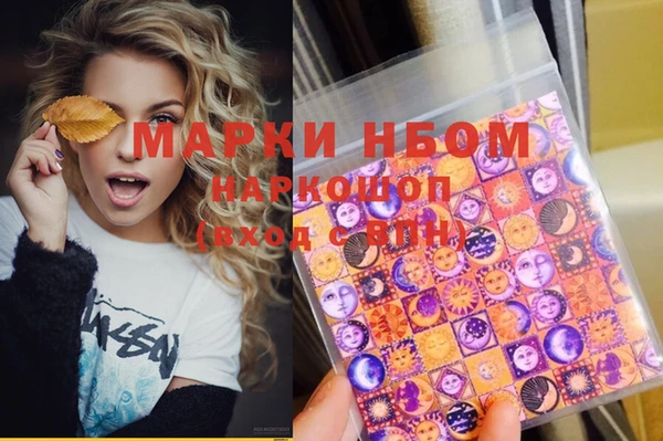 индика Алексин