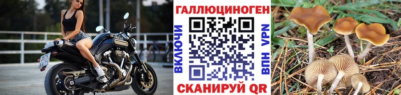 Псилоцибиновые грибы ЛСД  Сасово 